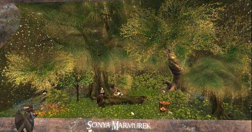 Web 5ea72177289dd26277e90b3e