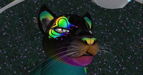 Web 60d8f6b775c791672102578a