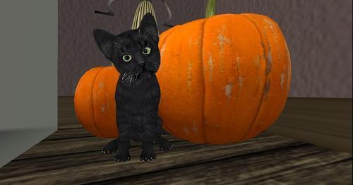 Web 60da498a75c791306702578a