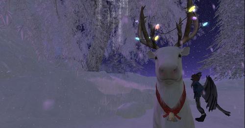 Web 61a41e6cfc69d6564a8a4028