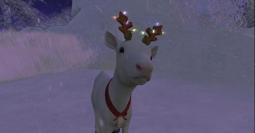 Web 61a41e9ad260183259803929