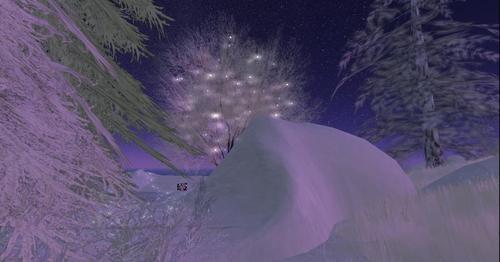 Web 61a41f783509d734cece5b1f