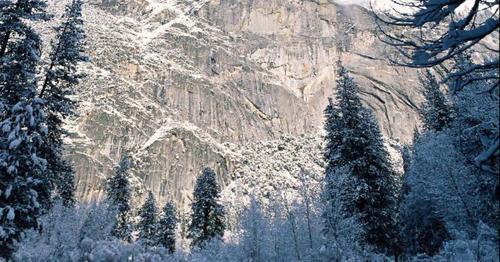 Web 61abdb63fc69d646ee8a4028