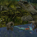 Thumb 67077adbf64909533b016962