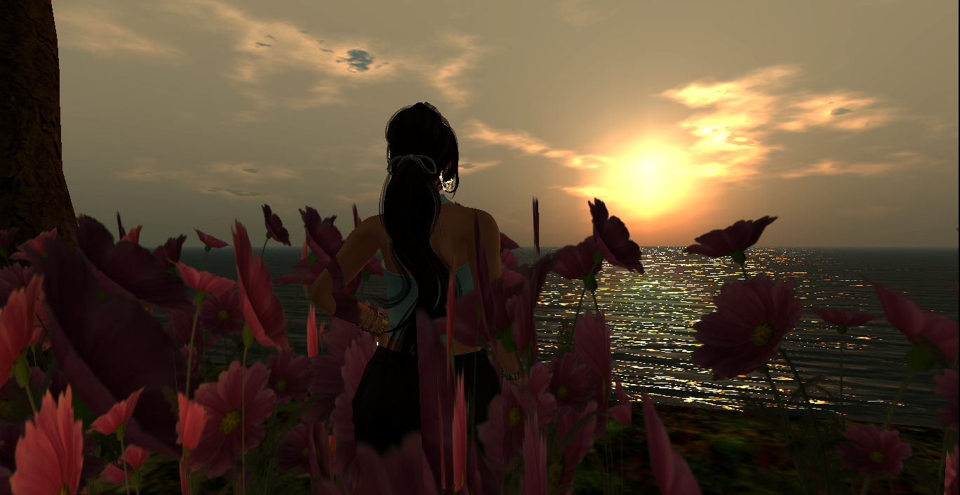 Original 555d4d6f128cc9797c000001