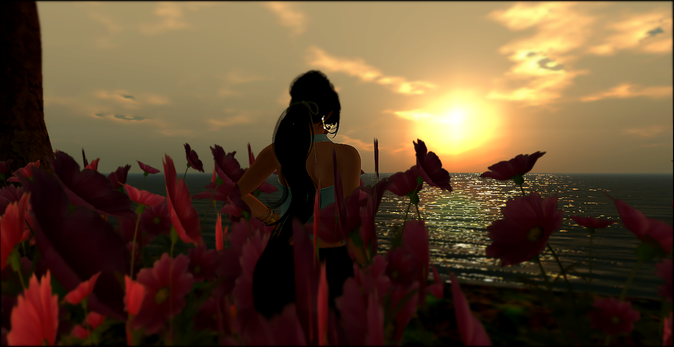 Original 555d4e36128cc97f6f000001