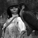 Thumb 572183789934e05674000001