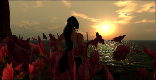 Web 555d4e36128cc97f6f000001