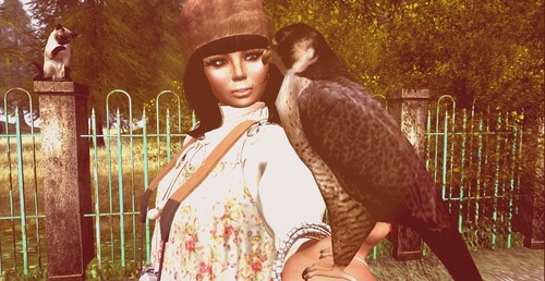 Web 5721847ee85cda6b2e000001