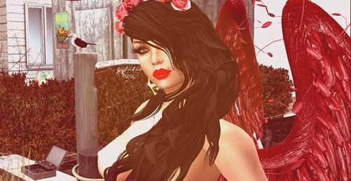 Web 57229c159934e026b4000001