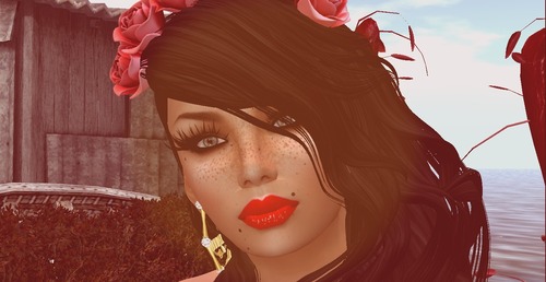 Web 57229cb79934e02a95000001