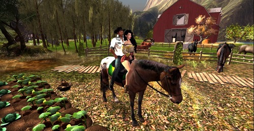 Web 574a9bf4e85cda58c3000001