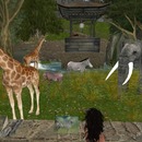 Thumb 505cdfb994f5b70620000001