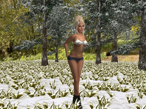 Web 5746094af8a1ec2664000001