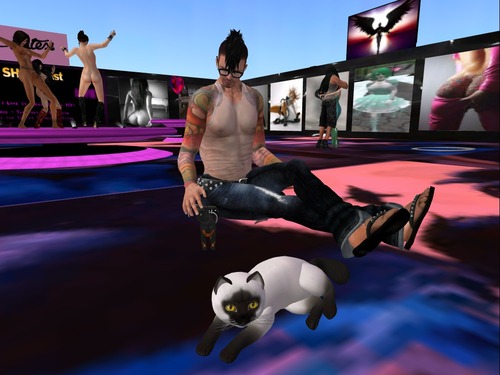 Web 523300a81fda313280000001