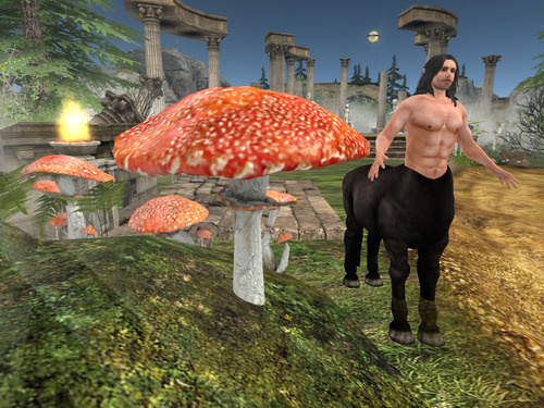 Web 664c836c92997445947293cf