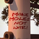 Thumb 5522d8c6128cc9164a000001