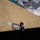 Thumb 564e218e128cc9754f000001