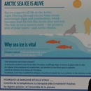 Thumb 58841176b713f73553000001