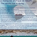 Thumb 588411c3f8a1ec425b000001