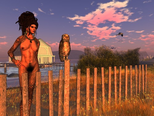 Web 5891c72db713f720cd000001