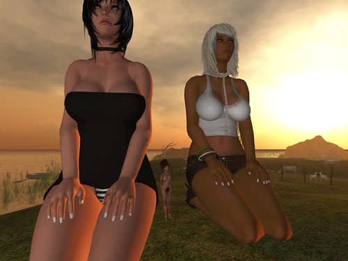 Web 5897213df8a1ec42d5000001