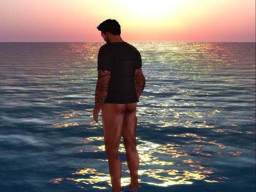 Web 53285bf98da5721830000001