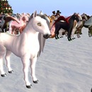 Thumb 52a6c51501bf1d1c91000001