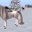 Thumb 52a6c546ff7f2a0e17000001