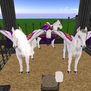 Thumb 5346e1eaa73e216462000001