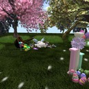 Thumb 5351f8d2a73e213dde000001