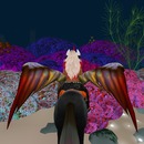 Thumb 56bf6a1ff8a1ec3600000001