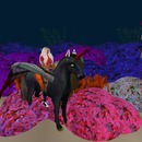 Thumb 56bf6b463f942f4bd6000001