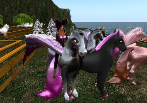 Web 52b865eaa73e2175d9000001