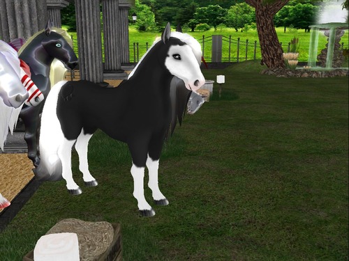 Web 52f9b2028da5722640000001