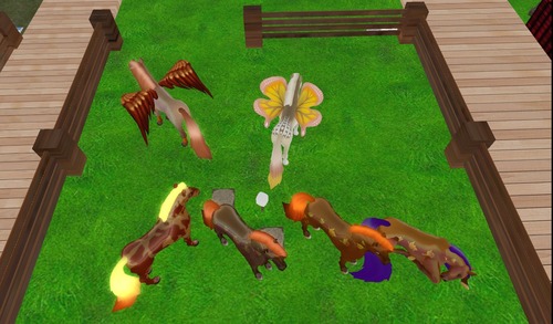 Web 535adb4cf8a1ec4120000001