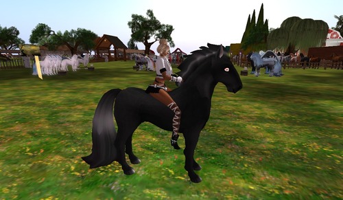 Web 537be7bc8da5725e16000001