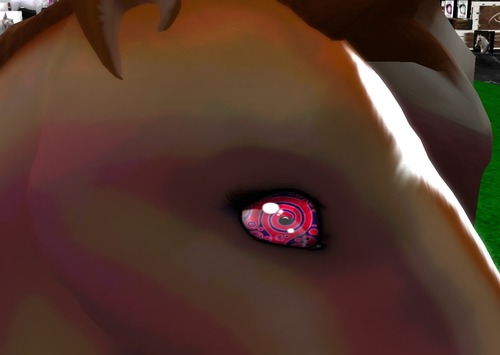 Web 53a24a0da73e211330000001