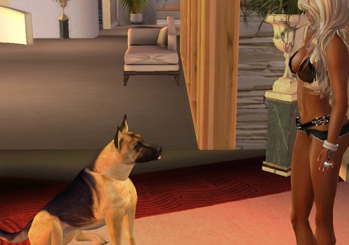 Web 53ed006e8da5722478000001