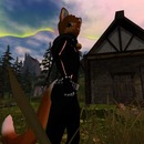 Thumb 541354b6a73e217004000001