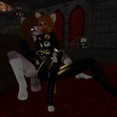 Thumb 5416e35fa73e213c43000001