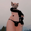 Thumb 5436b20ff8a1ec468e000001