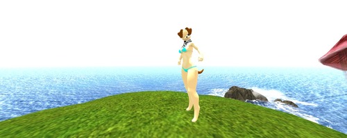 Web 54b54d0a8da57208a0000001