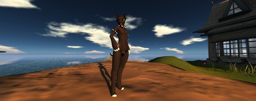 Web 551826cef8a1ec7a7c000001