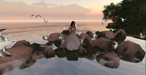 Web 57ab8a8ee85cda36af000001