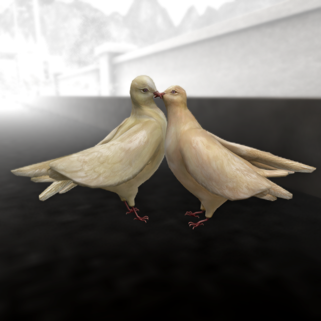 Original 5a80ebc8289dd243b3000001