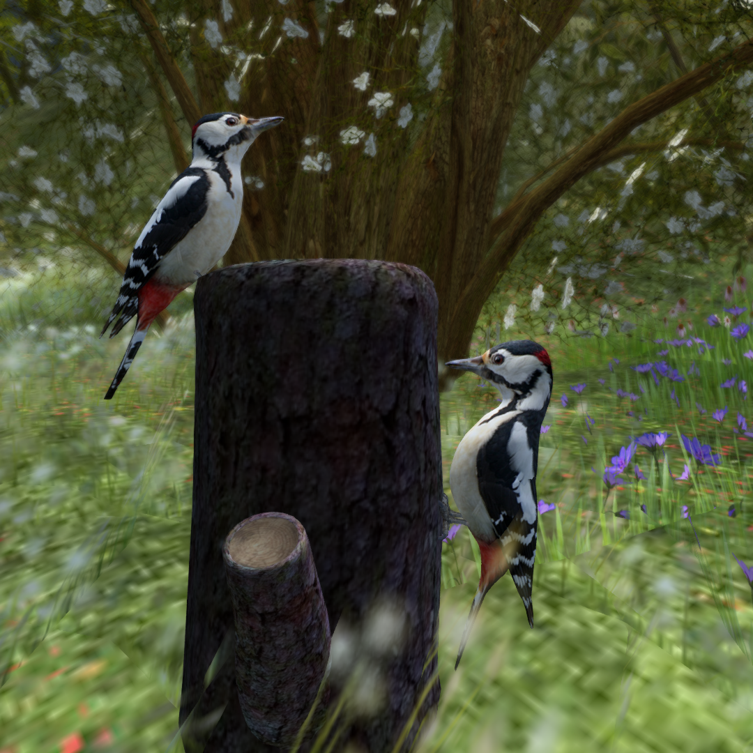 Original 5a8771dfd9859c0aa0000001