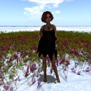 Thumb 57b9dd21f8a1ec774d000001