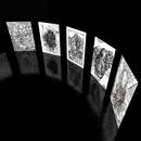 Thumb 5a74c640d9859c71f7000001