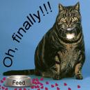 Thumb 5d4ecfe273ed172a75000001